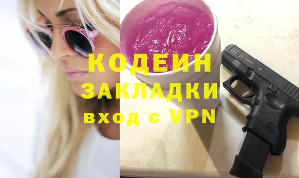 молекула духа Арсеньев