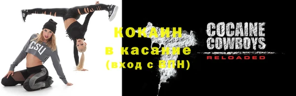 молекула духа Арсеньев