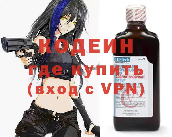 молекула духа Арсеньев