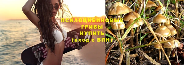 молекула духа Арсеньев