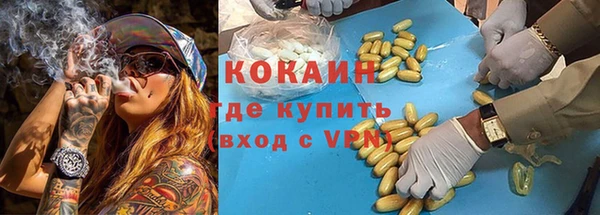 молекула духа Арсеньев