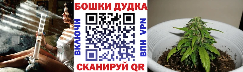 купить закладку  Струнино  Бошки марихуана LSD WEED 